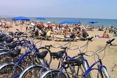 Highlights of Barcelona Half Day Small Group Bike Tour