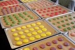 Paris Small-Group Macaron Making Class with a French Chef