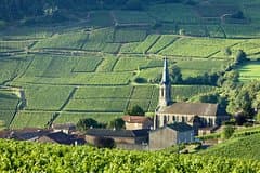 Burgundy Wine Tasting Small-Group Tour in Chablis from Paris
