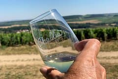 Burgundy Wine Tasting Small-Group Tour in Chablis from Paris