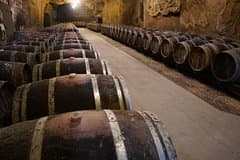Burgundy Wine Tasting Small-Group Tour in Chablis from Paris