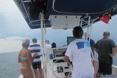 Private Whale Watching Tour – 27ft Proline | Pearl Islands