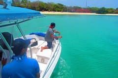 Private Whale Watching Tour – 27ft Proline | Pearl Islands