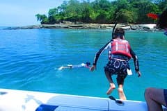 Private Whale Watching Tour – 27ft Proline | Pearl Islands