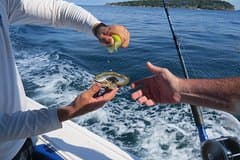 Private Fishing & Island Hopping – 27ft Proline | Pearl Islands