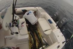 Private Fishing & Island Hopping – 27ft Proline | Pearl Islands