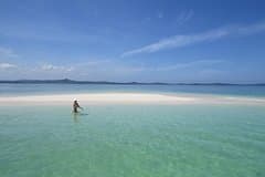 Private Fishing & Island Hopping – 27ft Proline | Pearl Islands