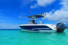 Private Fishing & Island Hopping – 27ft Proline | Pearl Islands