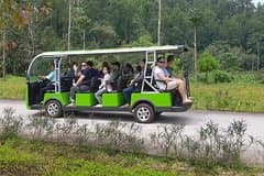 ArmyJeep to My Son Sanctuary Sunrise Tour from 5:10a.m to 9:30a.m
