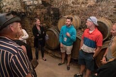 Burgundy Wine Tasting Small-Group Tour in Chablis from Paris