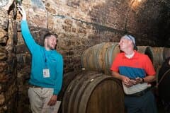 Burgundy Wine Tasting Small-Group Tour in Chablis from Paris