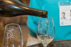 Burgundy Wine Tasting Small-Group Tour in Chablis from Paris