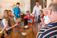Burgundy Wine Tasting Small-Group Tour in Chablis from Paris