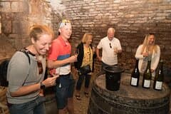 Burgundy Wine Tasting Small-Group Tour in Chablis from Paris