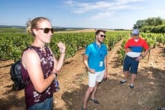 Burgundy Wine Tasting Small-Group Tour in Chablis from Paris