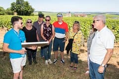 Burgundy Wine Tasting Small-Group Tour in Chablis from Paris