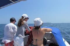 Private Whale Watching Tour – 27ft Proline | Pearl Islands