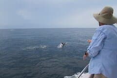 Private Whale Watching Tour – 27ft Proline | Pearl Islands