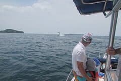 Private Whale Watching Tour – 27ft Proline | Pearl Islands