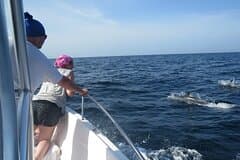 Private Whale Watching Tour – 27ft Proline | Pearl Islands