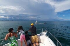 Private Whale Watching Tour – 27ft Proline | Pearl Islands