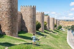 From Madrid: Toledo and Segovia Full-Day Tour With Tickets