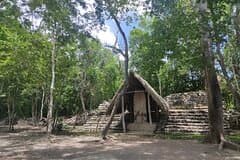 Tulum, Coba, Cenote & Playa del Carmen Tour from Cancún