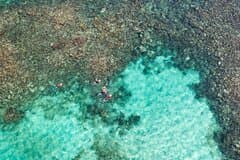 Puerto Morelos Catamaran Reef Sail and Snorkel