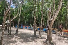 Tulum, Coba, Cenote & Playa del Carmen Tour from Cancún