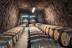 Loire Valley 2 full Days private tour all inclusive from Paris by TGV train.