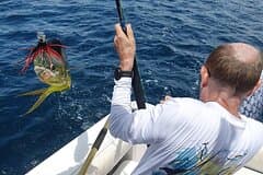 Private Sport Fishing – 27ft Proline | South Pearl Islands