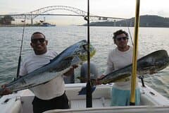 Private Sport Fishing – 27ft Proline | South Pearl Islands