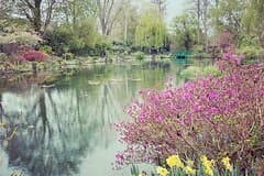 Private Transfer From Paris to Bayeux / Caen with stop in Giverny