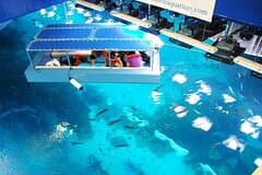 Burj Khalifa and Dubai Aquarium Combo Admission Ticket