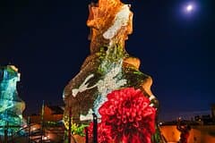 La Pedrera - Casa Mila Night Experience