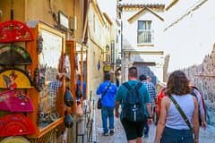 From Madrid: Toledo and Segovia Full-Day Tour With Tickets