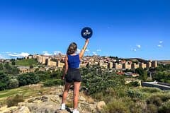 From Madrid: Toledo and Segovia Full-Day Tour With Tickets