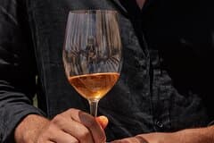 Barcelona: PRIORAT Wine Tour and 2 Wine Tastings & 3-Course Meal