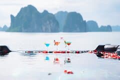 Apollo Premium 5-Star Day Cruise to Ha Long Bay with Buffet Lunch