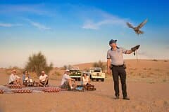 Heritage Safari Dubai in Vintage Land Rover with Dinner