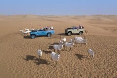 Heritage Safari Dubai in Vintage Land Rover with Dinner