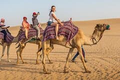 Heritage Safari Dubai in Vintage Land Rover with Dinner